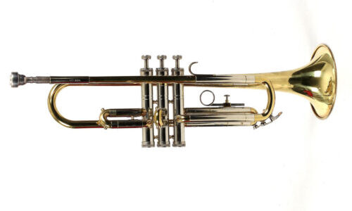 Schenkelaars Trompet